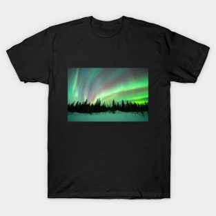 Rainbow Aurora Borealis in a Black Spruce Forest in Alaska T-Shirt